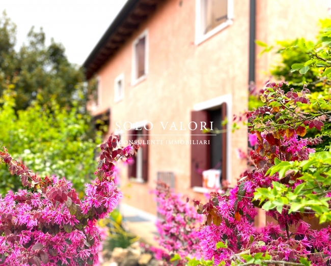 Casa singola rustica a Castelfranco Veneto rif. C250